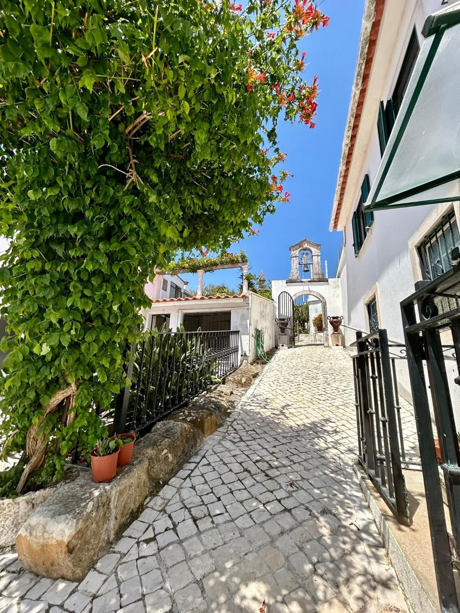 Traditional Portuguese Village House - Casa Martins No 52 Freiria Ngoại thất bức ảnh